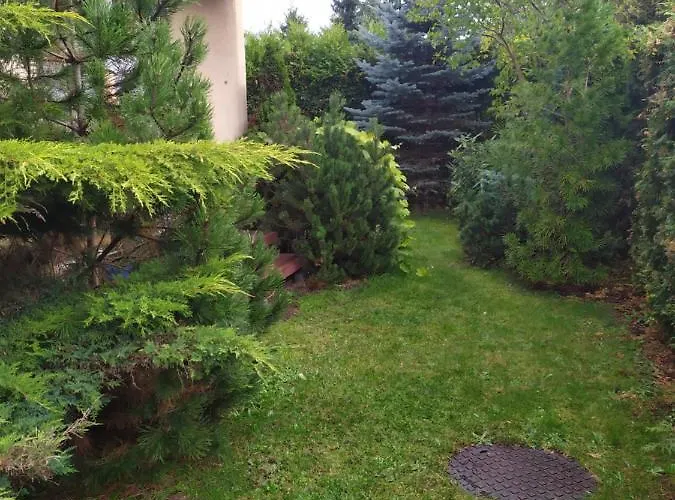 Jasna Plaza Jastrzębia Góra